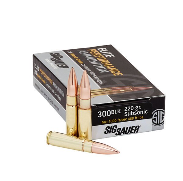 ammo seek 300 blk